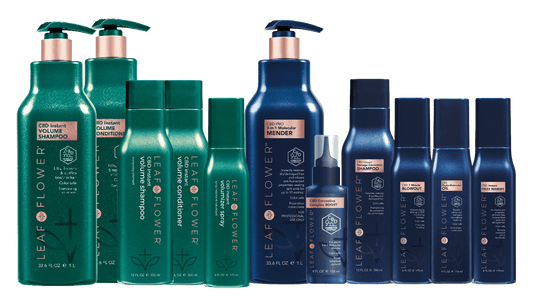 Large Salon Opening Kit